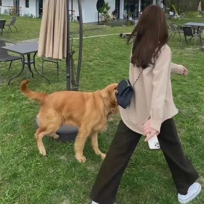 美国派3:美国婚礼